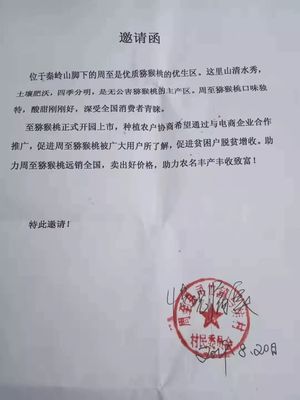 愛心傳遞周至 40萬斤獼猴桃滯銷待援，無聲老人與留守兒童的期盼